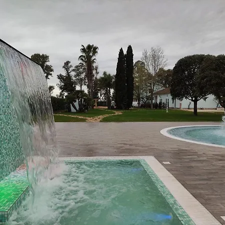 Ariston Onc 1484 * Sabaudia